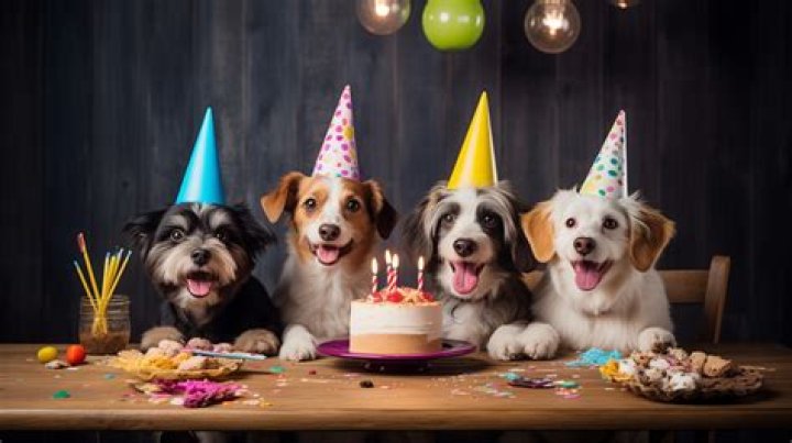 A Birthday Celebration Of Discoveries