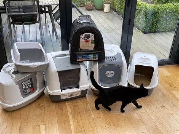 Designer Cat Litter Boxes Redefined