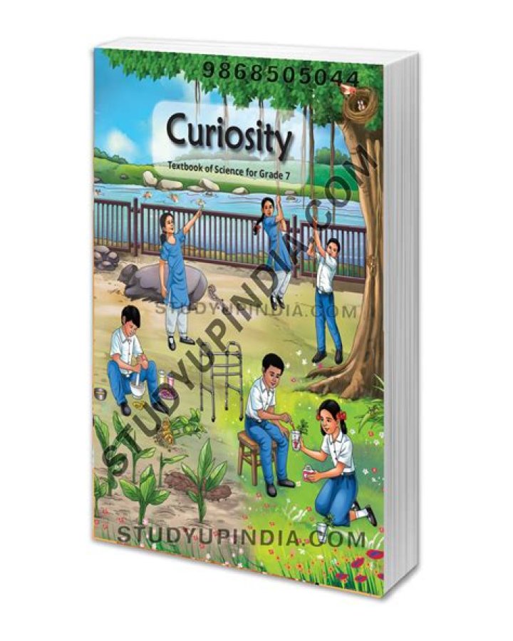 Discover The Path To Curiosity And Fulfillment
