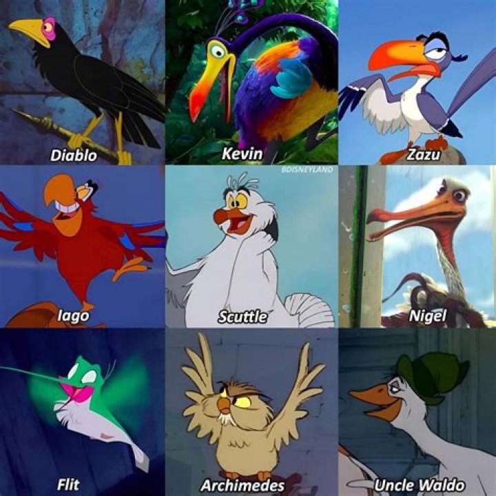 Discover The Secrets Behind Disney Parrot Names