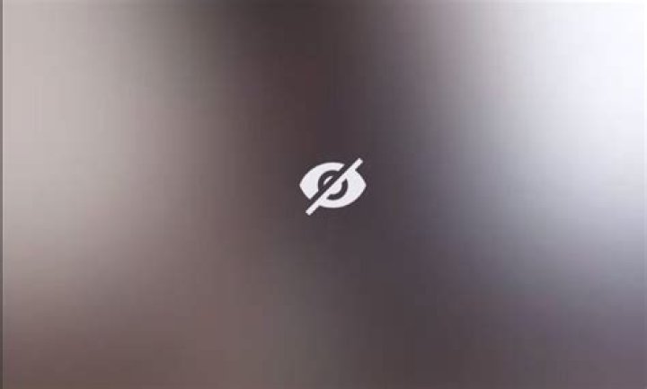 Dive Into The World Of 