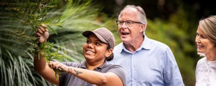 Exploring Aboriginal Heritage, Identity, And Impact