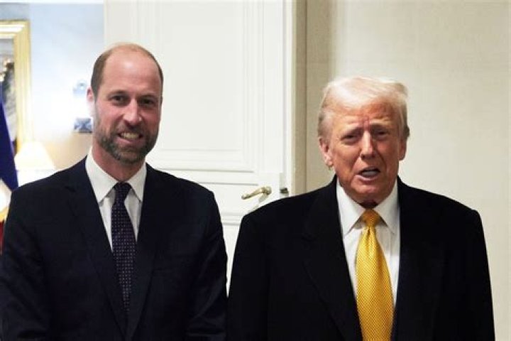 Michelle Wolf's True Height Revealed