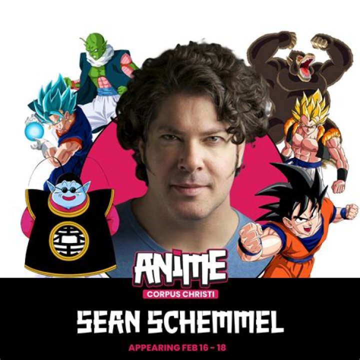Sean Schemmel's Net Worth Revealed