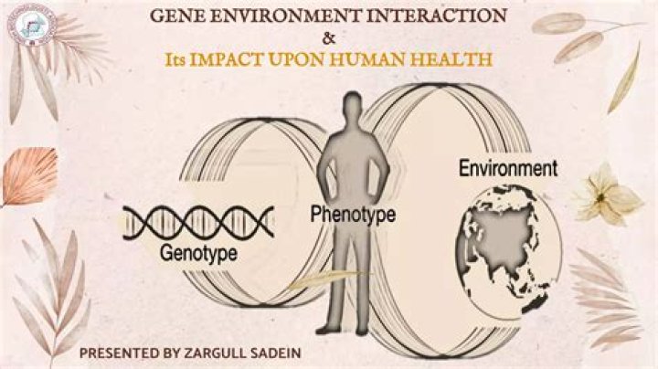 Shane's Height A Journey Of Genetics, Environment, And Perception