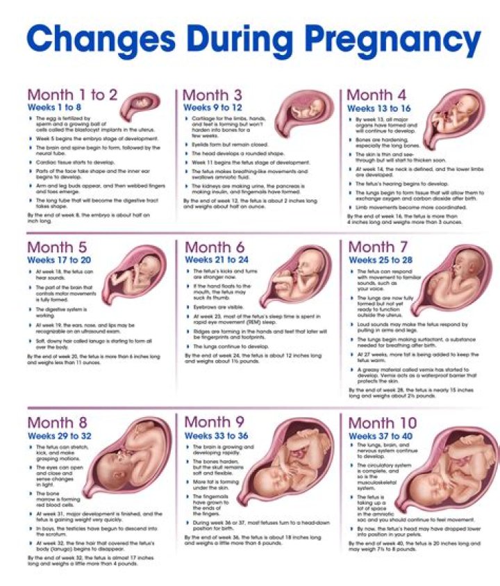 Traylor Howard's Pregnancy Journey: Uncovering Unique Insights