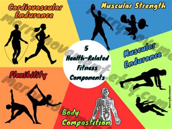 Unlock The Secrets Of Fitness With Jatzivy Sarabia: Discoveries For The ArtisticAisle