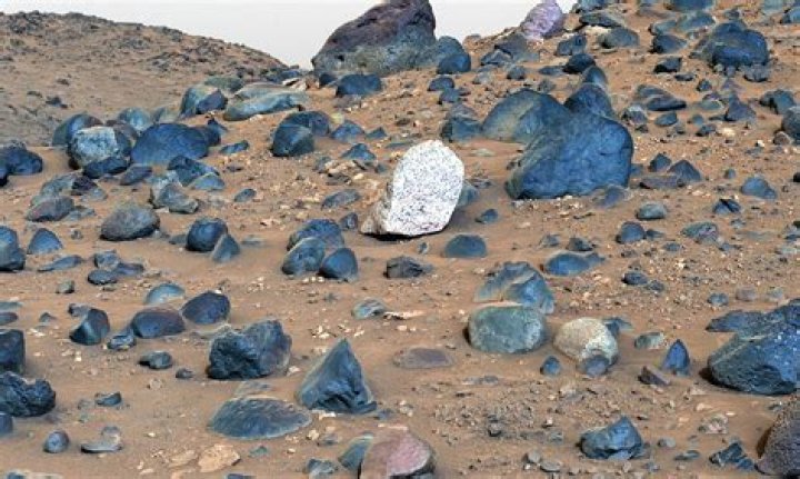 Unveiling Cosmic Secrets: Discoveries From Florida's Meteorites