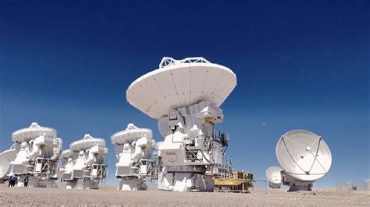 Unveiling The Secrets Of Seals Scars: Discoveries And Insights